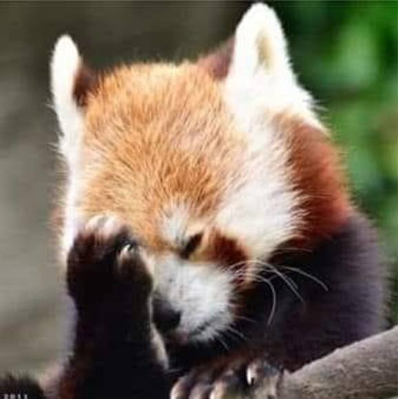 Meet your Posher, Kathy - Picture 1 of 1